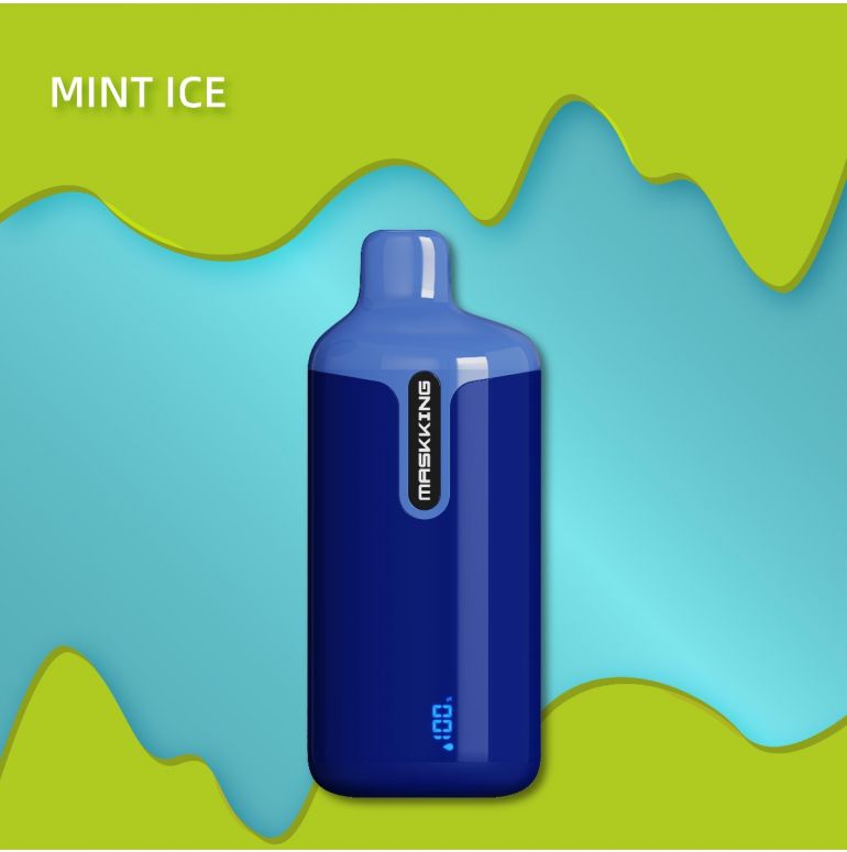 Mint Ice - 12000 Puffs Disposable | Vape Electronics