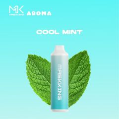 Cool Mint Disposable Vape Pod 6000 Puffs Rechargeable - Masking