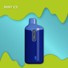 Mint Ice - Masking Axi 12000 Puffs Disposable Vape