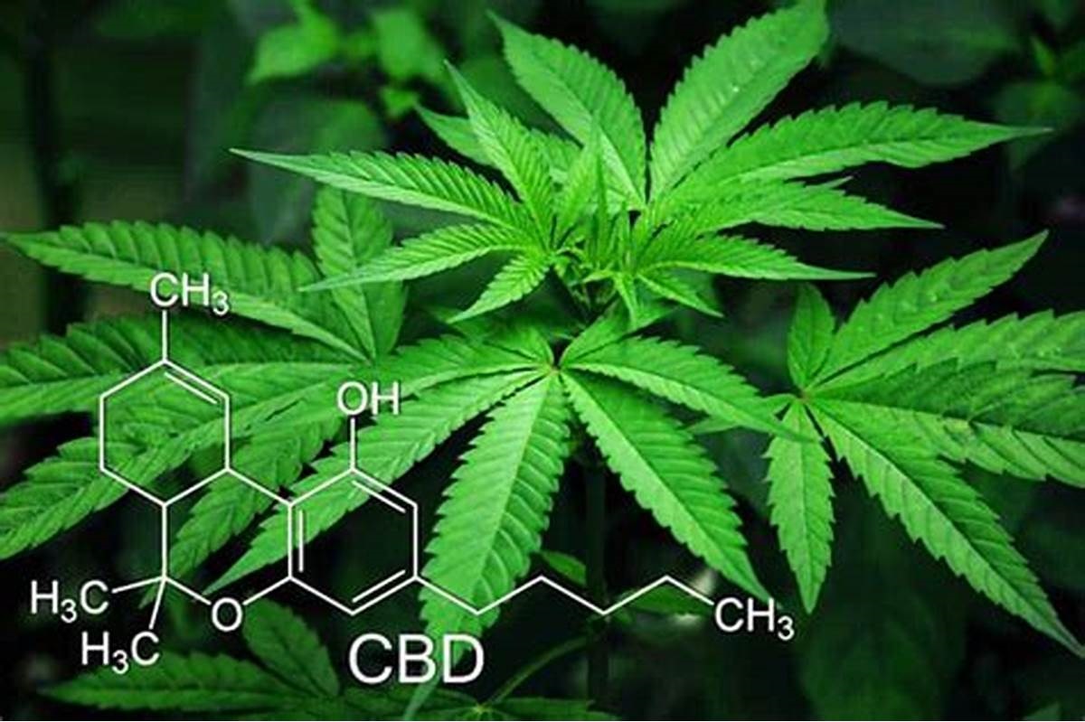 What is the difference between THC and CBD?